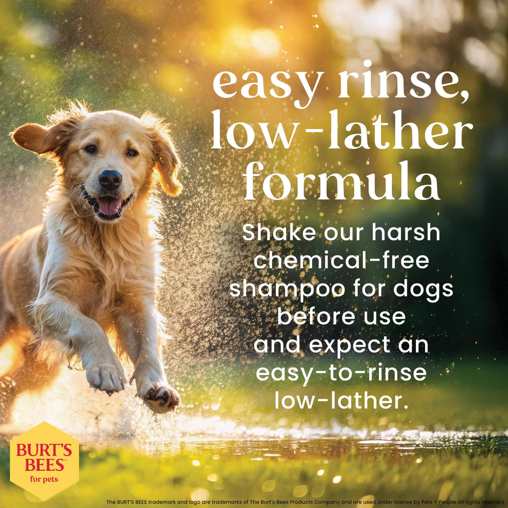 BURT'S BEES FOR PETS Oatmeal Dog Shampoo label shown in close-up.