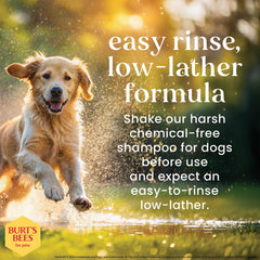 BURT'S BEES FOR PETS Oatmeal Dog Shampoo label shown in close-up.