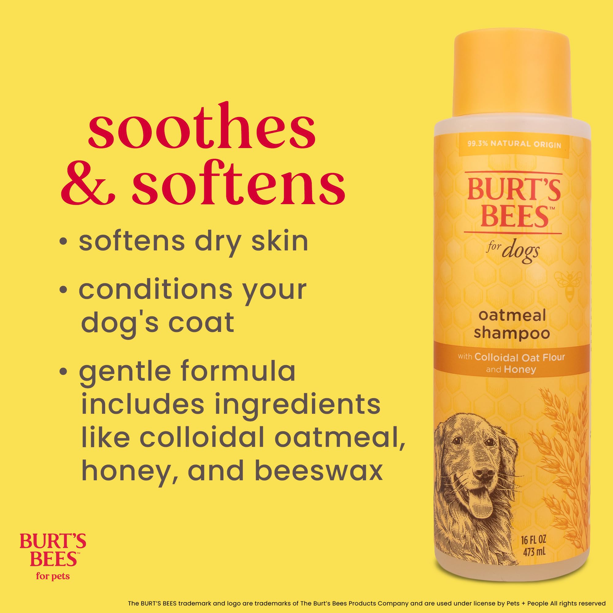 BURT'S BEES FOR PETS Oatmeal Dog Shampoo shown as a two-bottle pack.