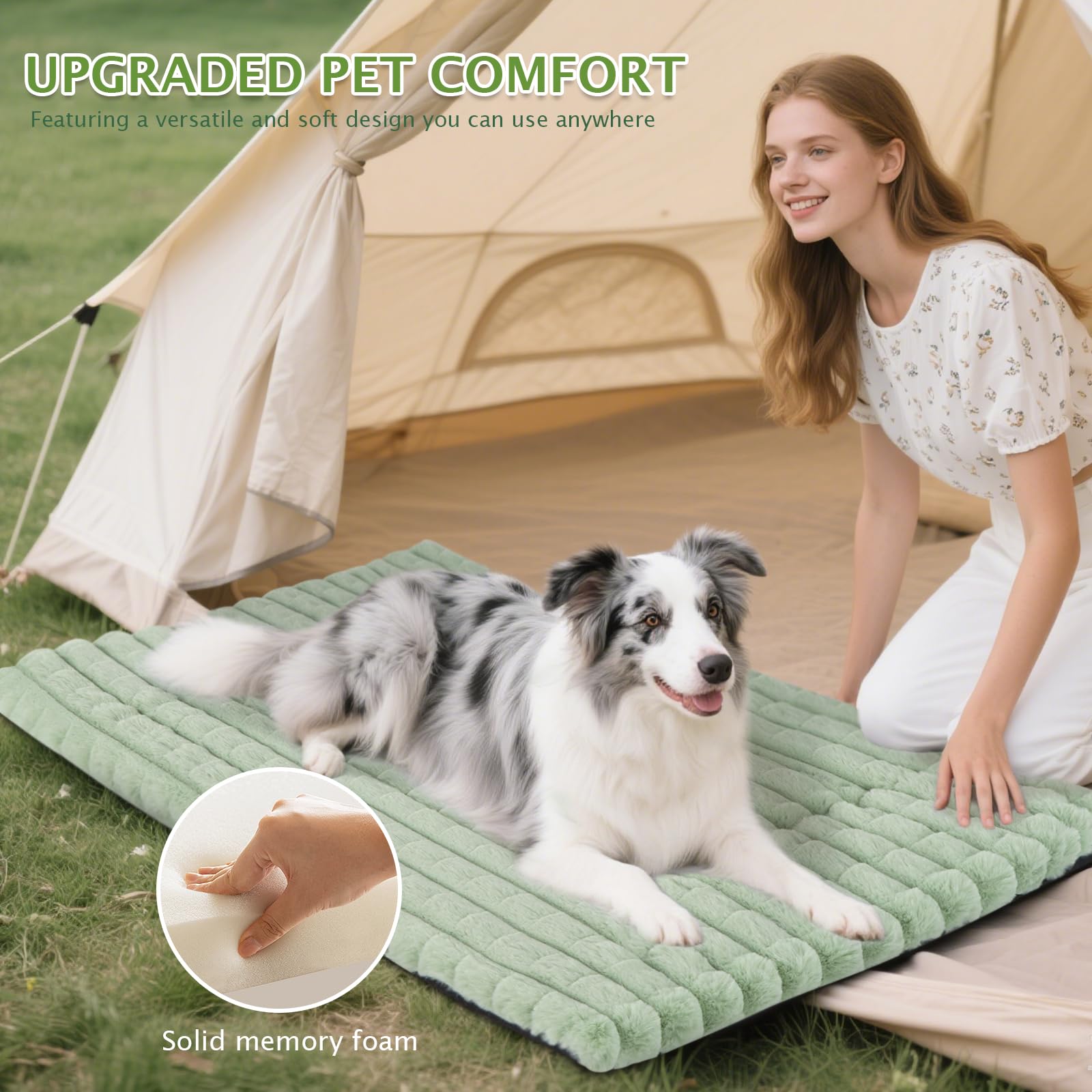 BVAGSS dog bed shown set up in a pet carrier.