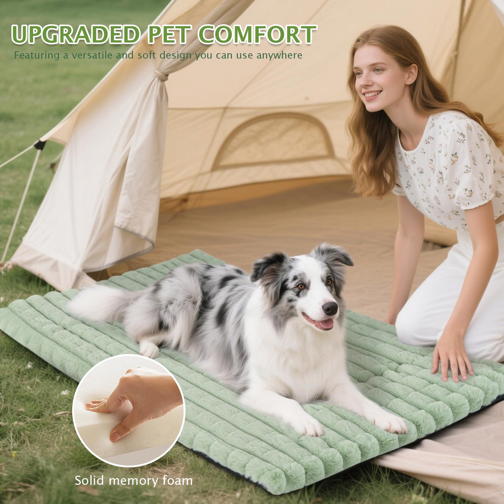 BVAGSS dog bed shown set up in a pet carrier.
