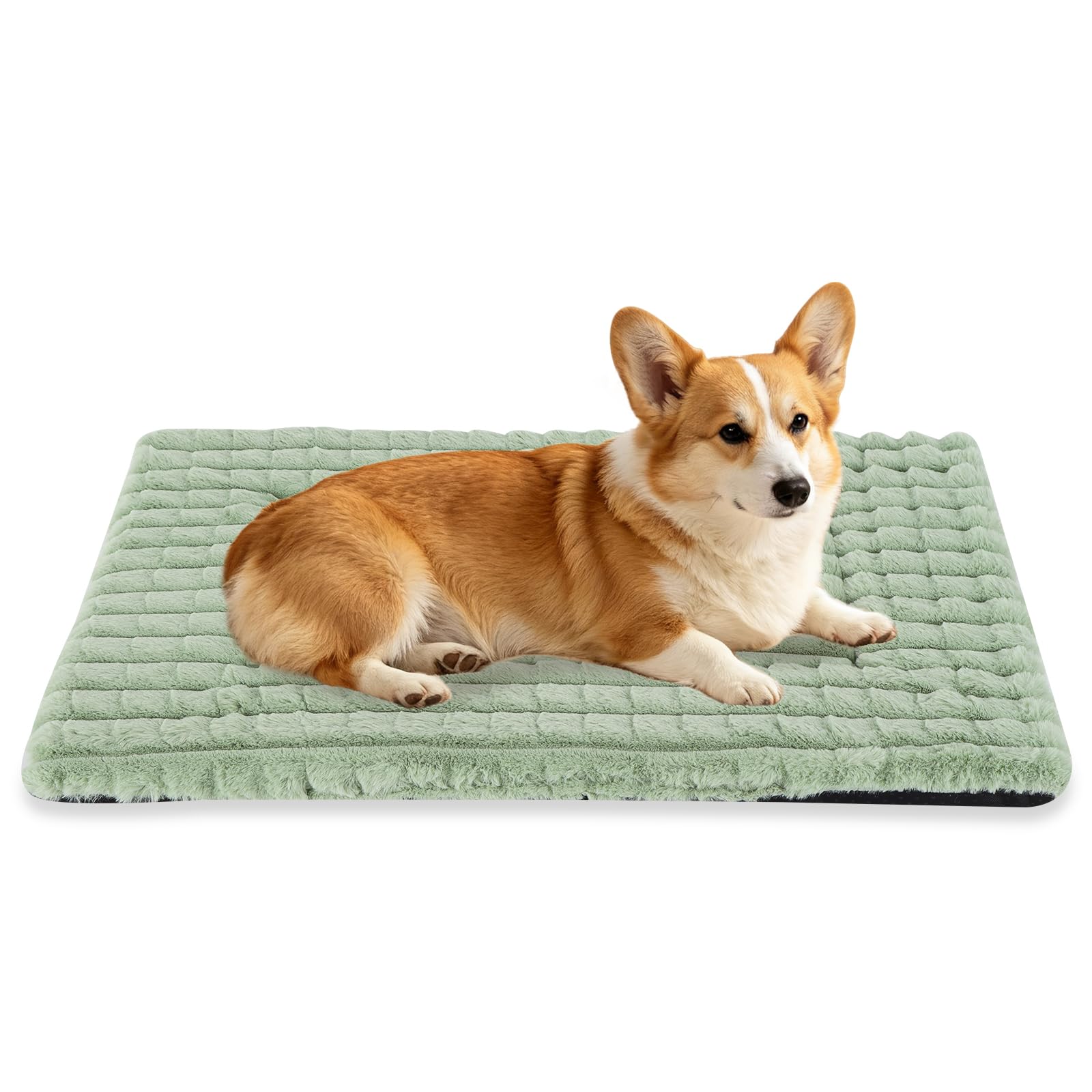 BVAGSS dog bed shown from the front in green.