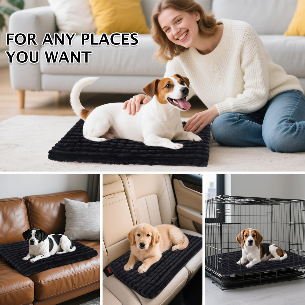 BVAGSS dog bed positioned inside a crate as a padded resting surface.