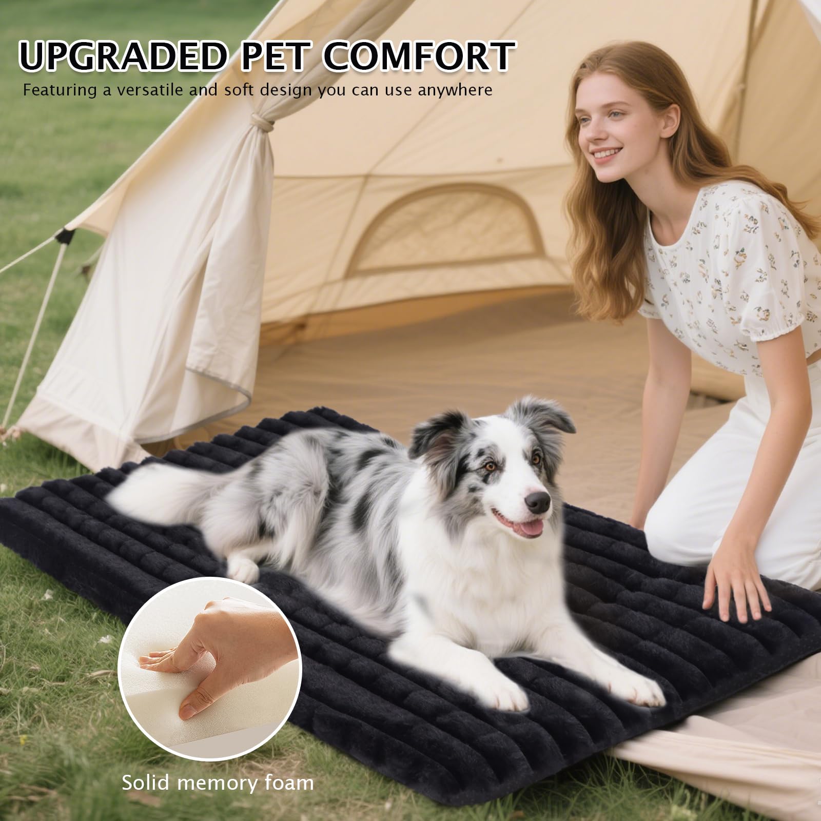 BVAGSS dog bed size guide showing the 24 x 18 inch option.
