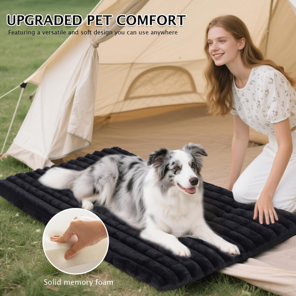 BVAGSS dog bed size guide showing the 24 x 18 inch option.