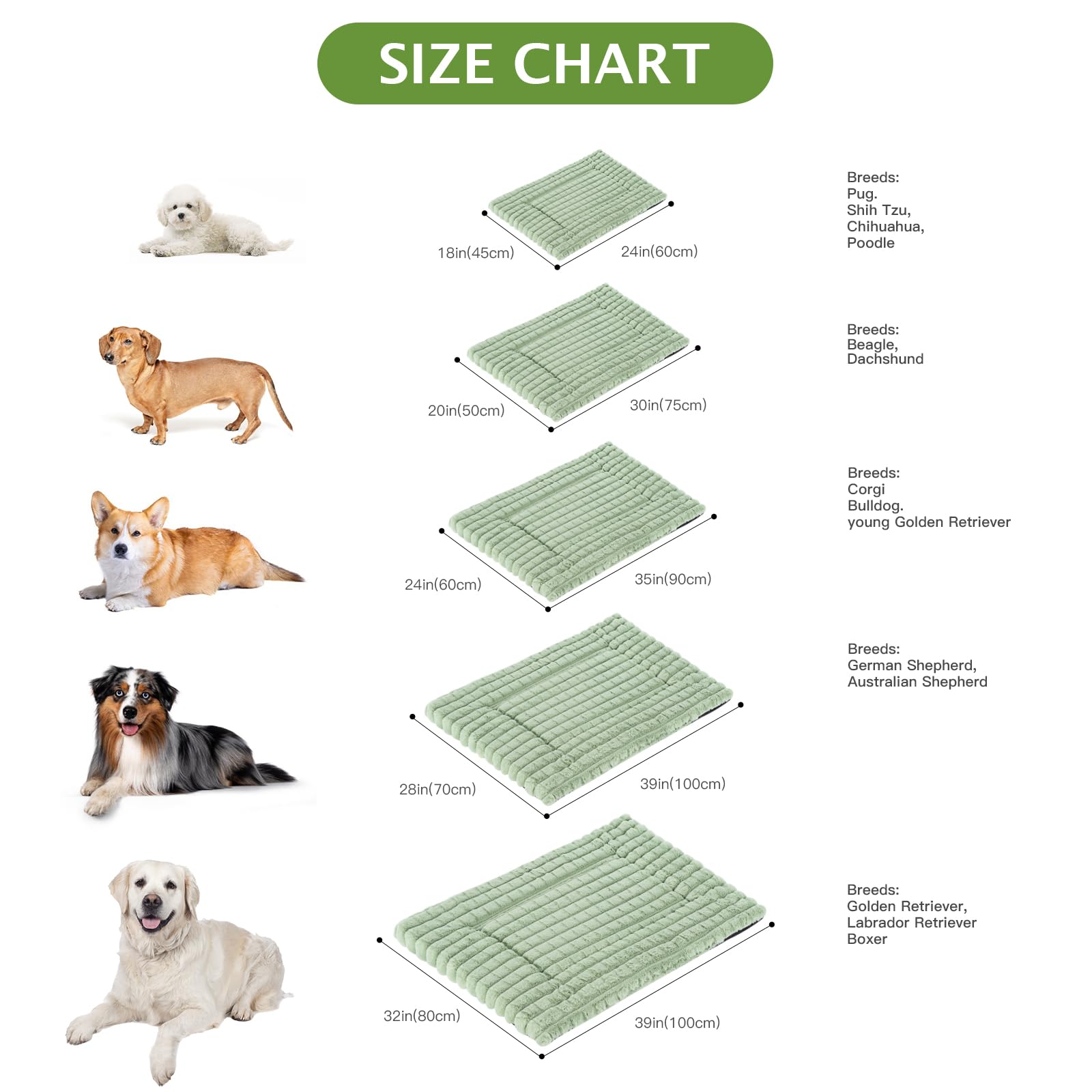 BVAGSS dog bed shown with its vacuum packaging.