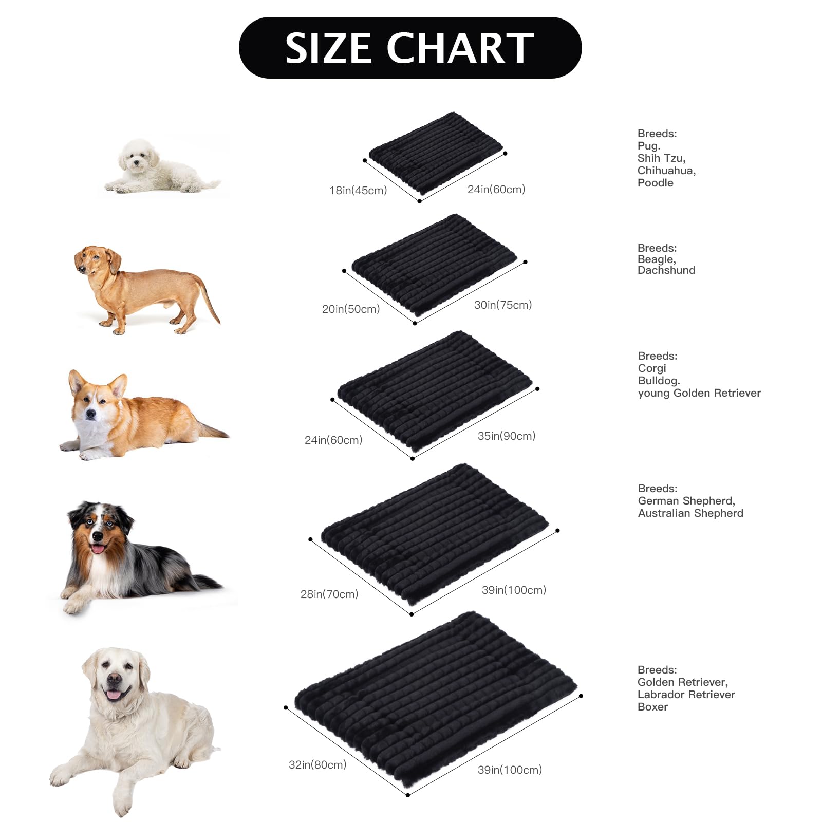 BVAGSS dog bed shown in its vacuum-packed box.