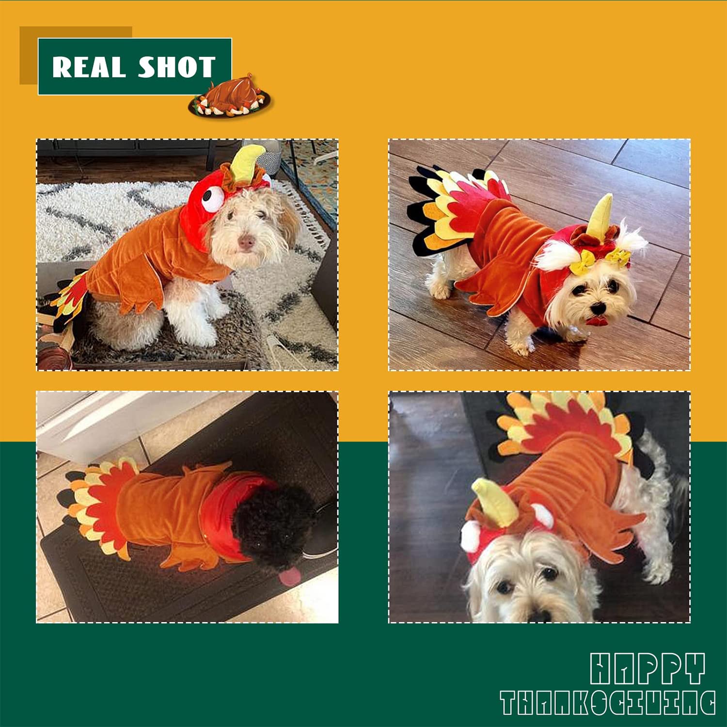 BWOGUE Dog Turkey Costume shown from the back.