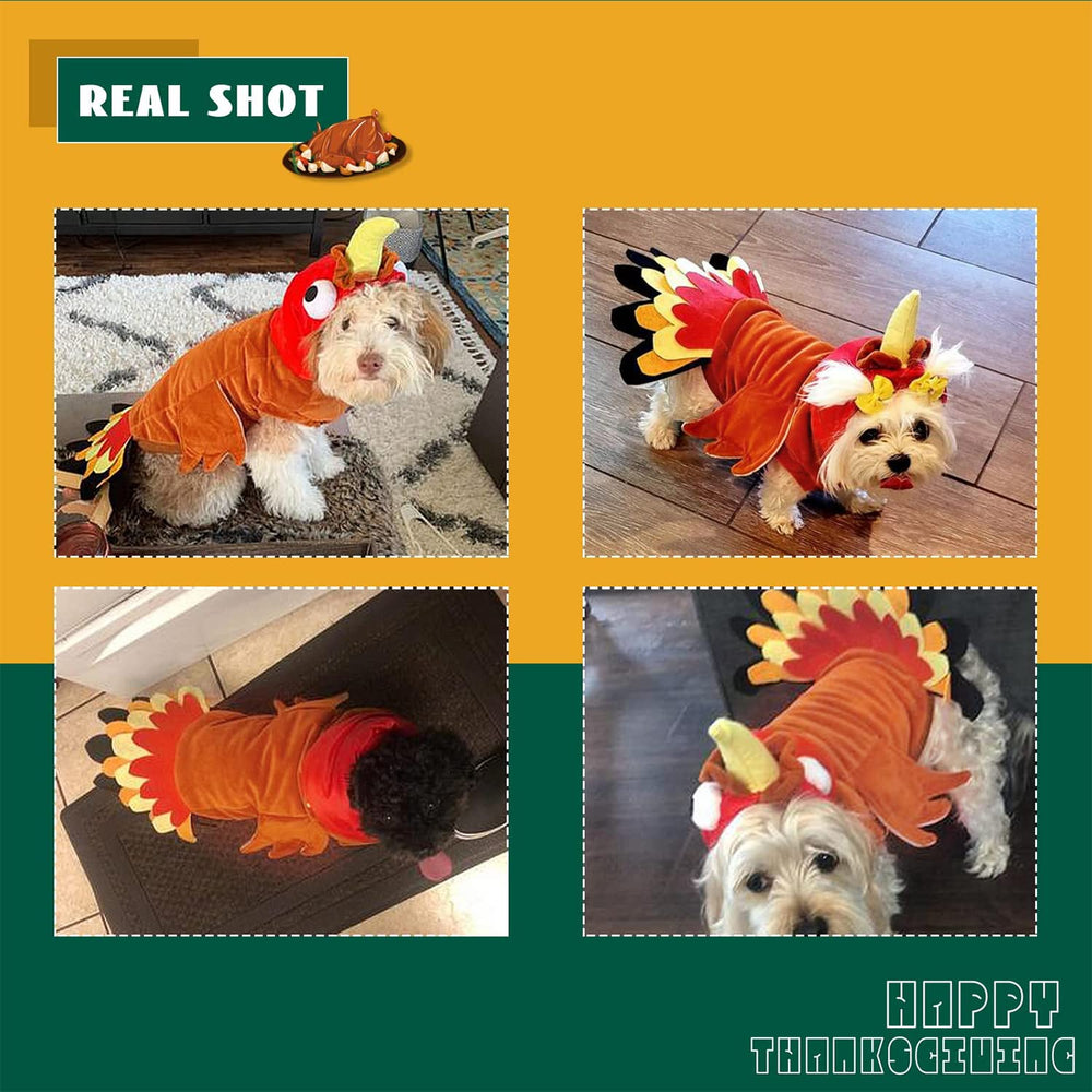 BWOGUE Dog Turkey Costume shown from the back.