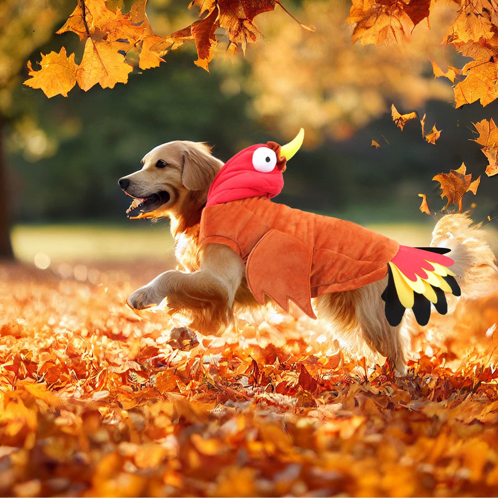 A pet wearing the BWOGUE Dog Turkey Costume for a holiday photo.