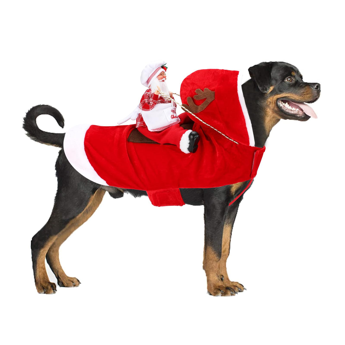 BWOGUE Santa Dog Costume shown from the front.