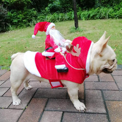 BWOGUE Santa Dog Costume showing its adjustable Velcro closure.