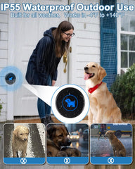 Cangecit dog doorbell in use as a dog touches the transmitter.