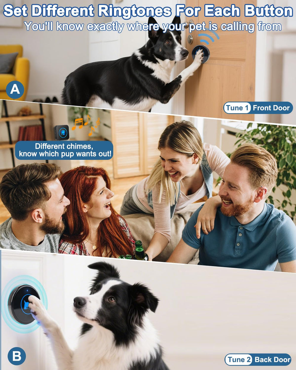 Cangecit dog doorbell system shown from an alternate angle.