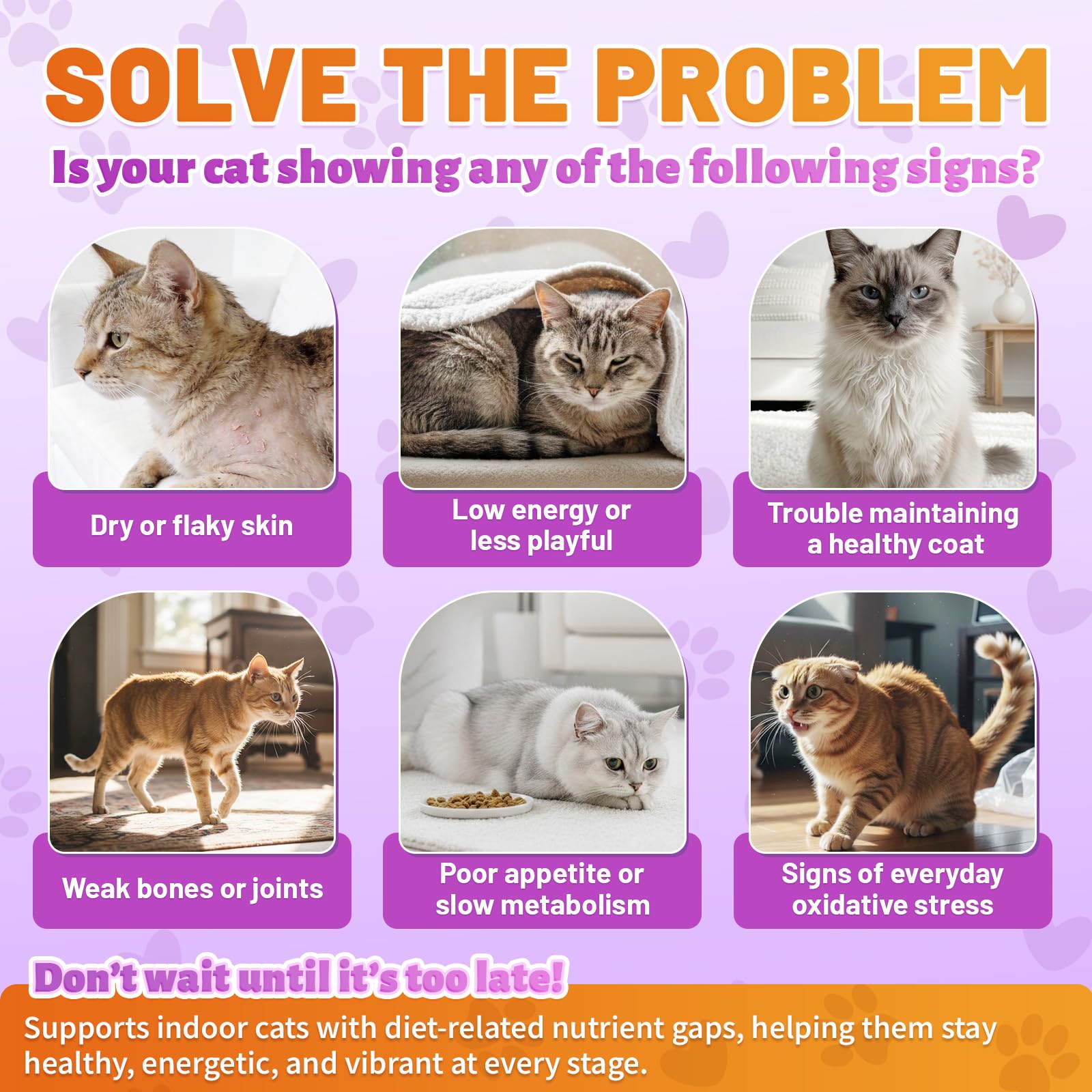 Carmelie cat multivitamin chews served mixed with cat food.