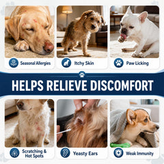 Carmelie Dog Allergy Chews 500 featuring chicken and krill flavor.