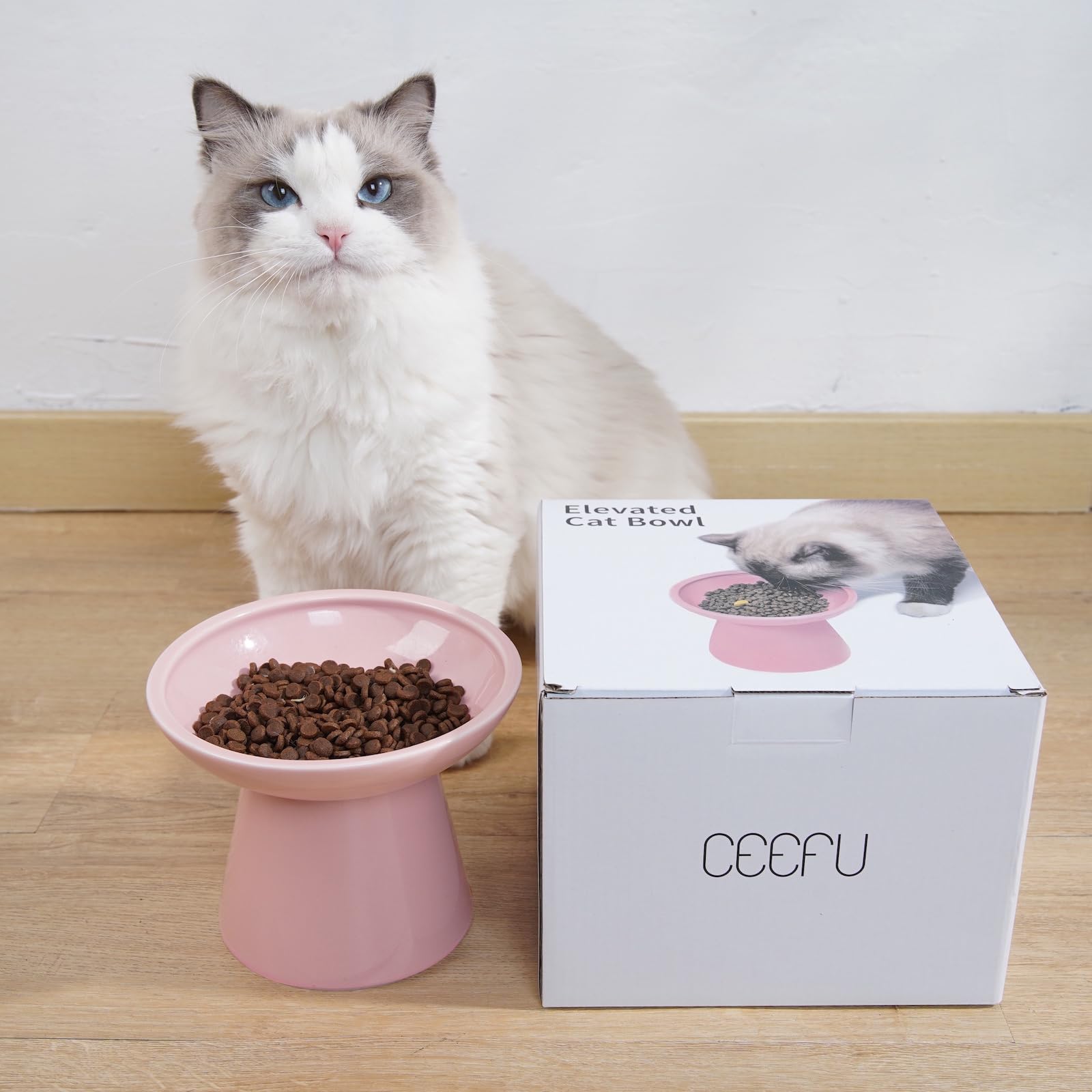CEEFU cat bowl shown with wet food inside.