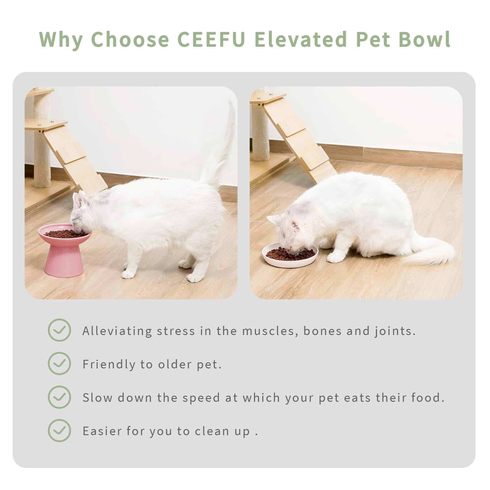 CEEFU elevated cat bowl shown during a cat’s mealtime.
