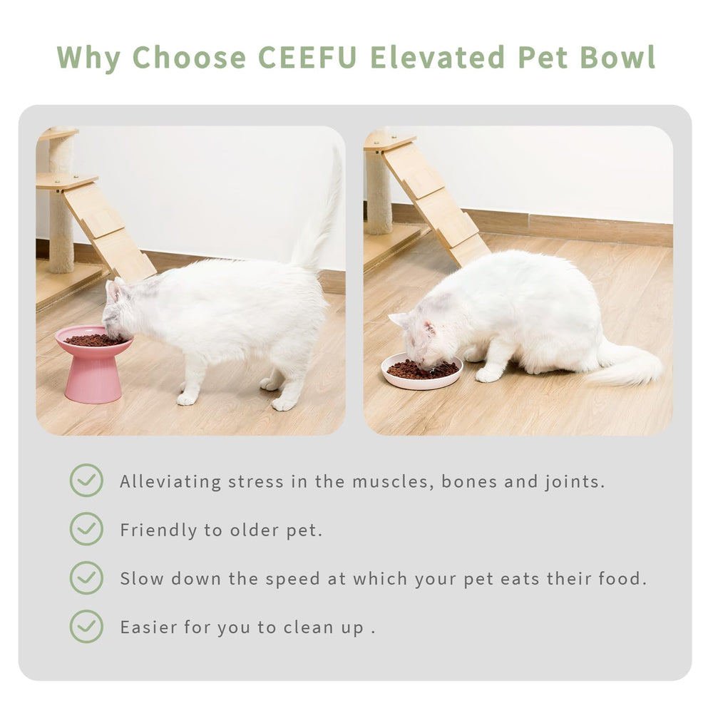 CEEFU elevated cat bowl shown during a cat’s mealtime.