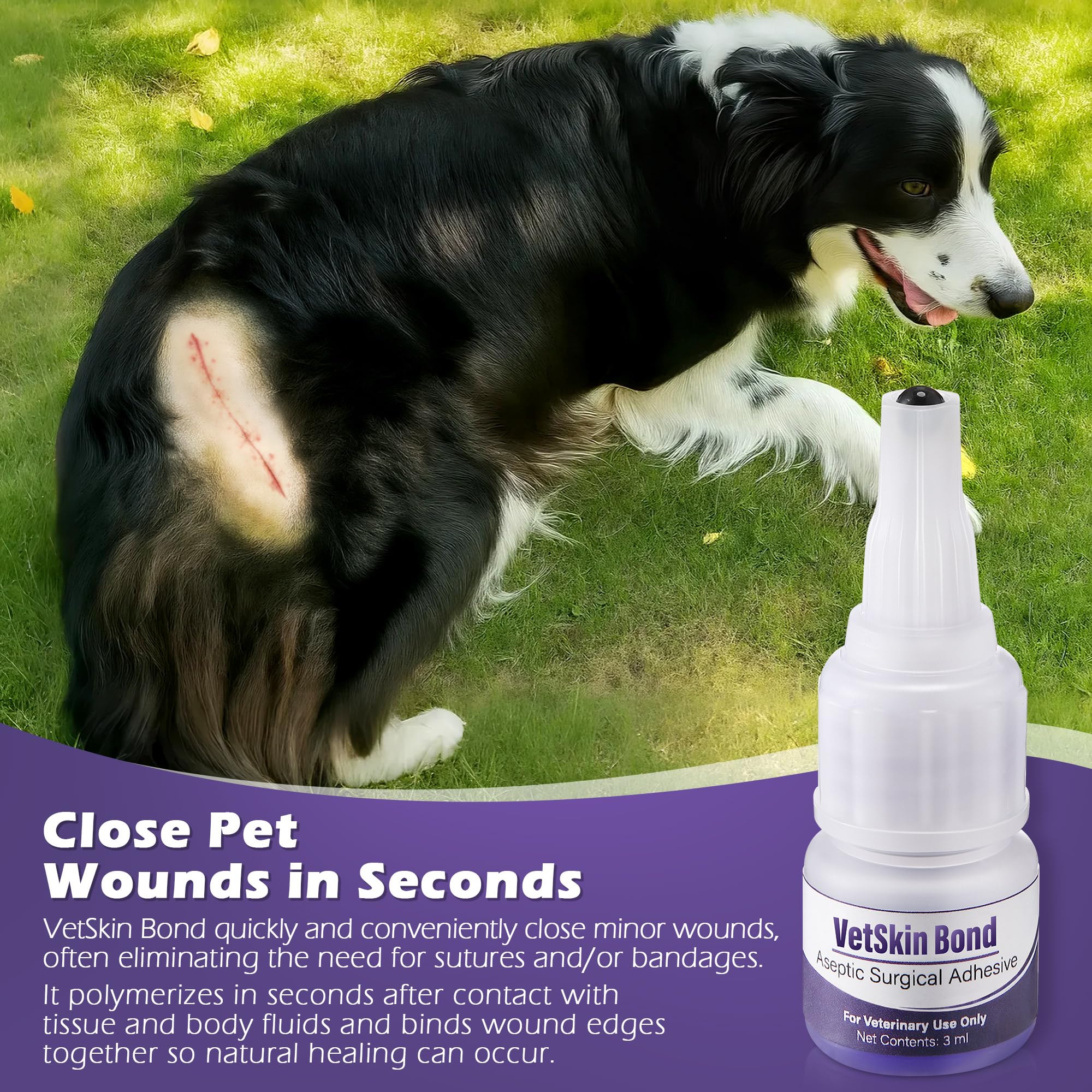 Ceoighe Veterinary Surgical Skin Glue with the fine-tip applicators.