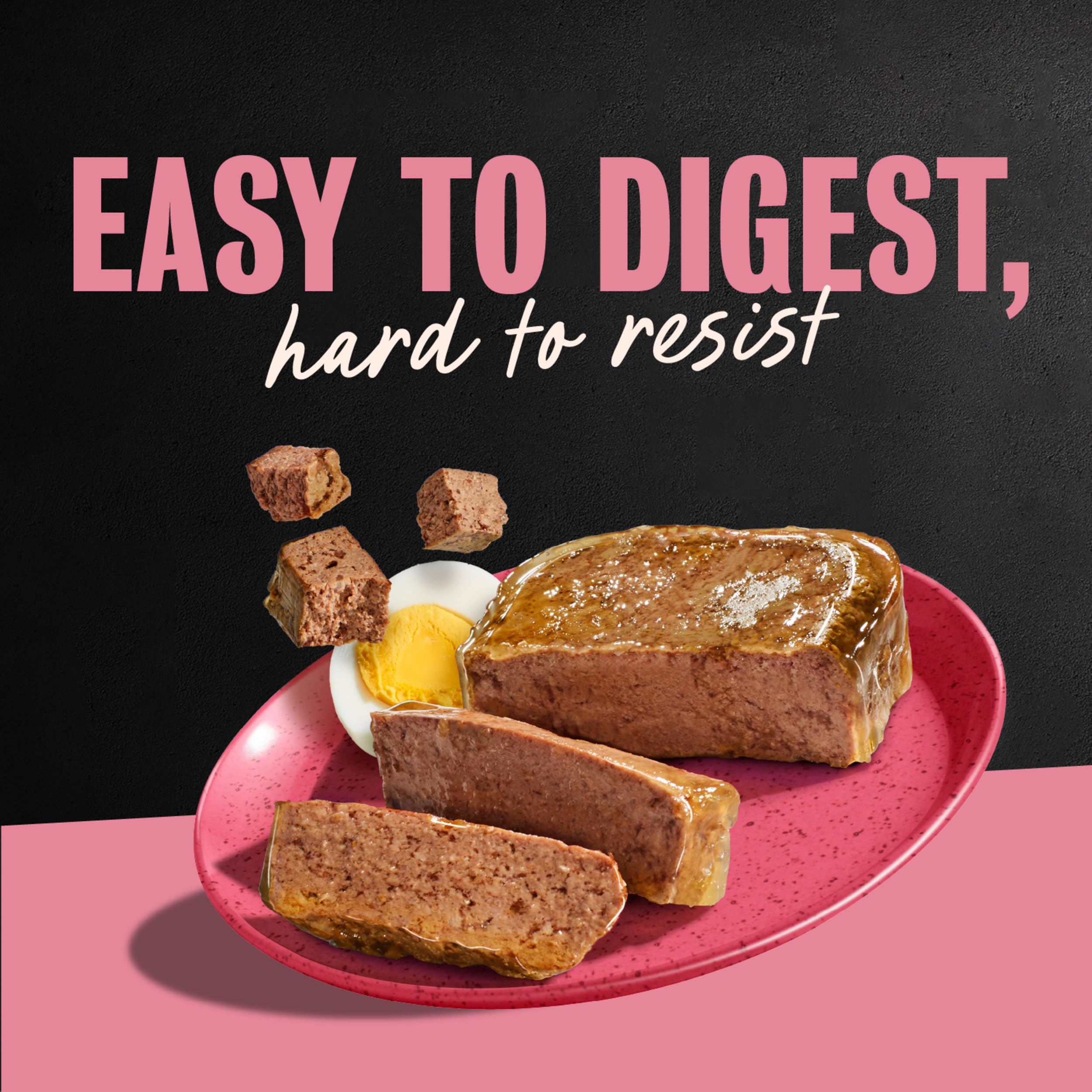 Cesar Breakfast Selects wet dog food variety pack with both flavors.