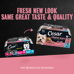Cesar Breakfast Selects wet dog food tray shown in close-up.