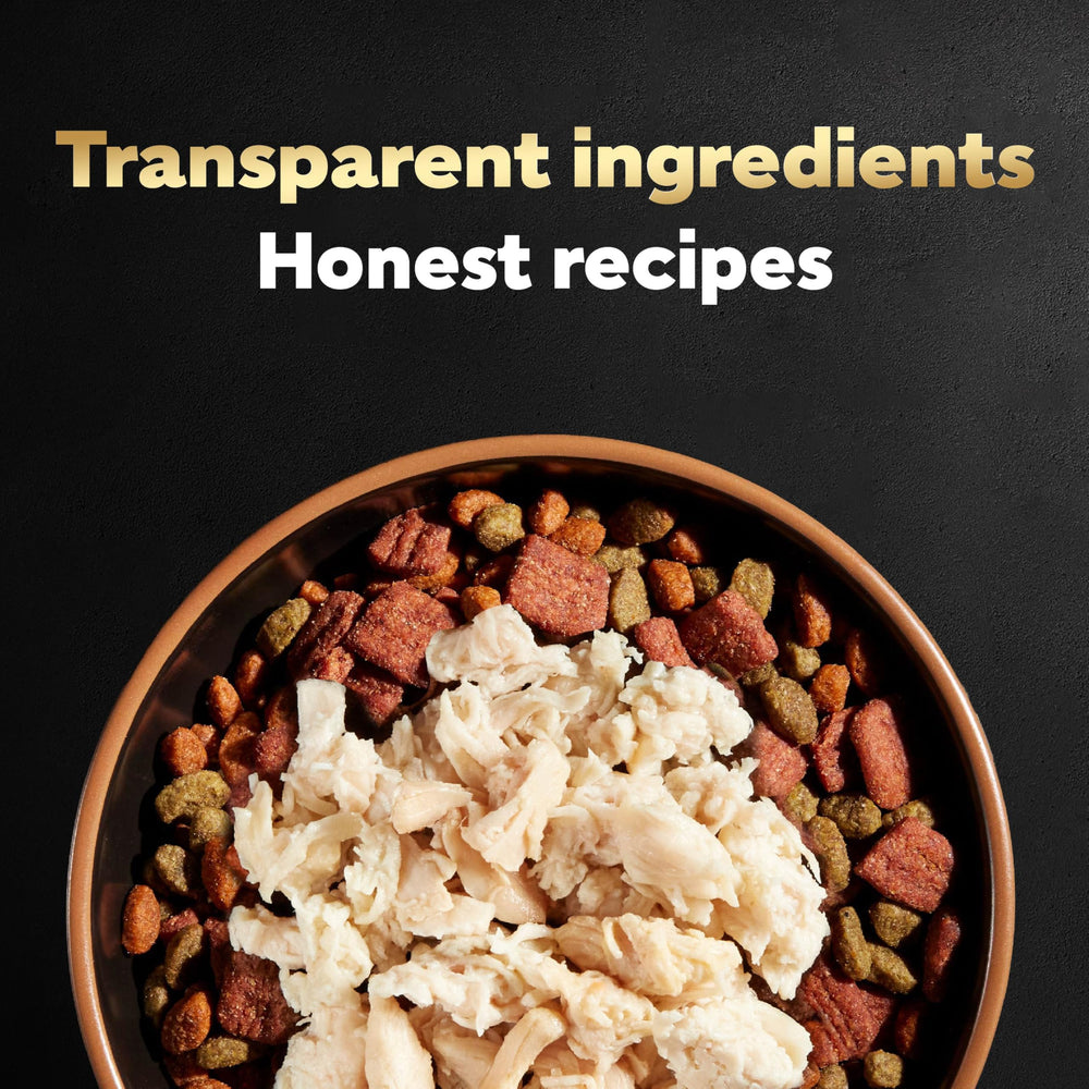 Cesar chicken wet dog food topper mixed into dry kibble.