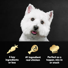 Cesar chicken wet dog food topper package shown from the back.