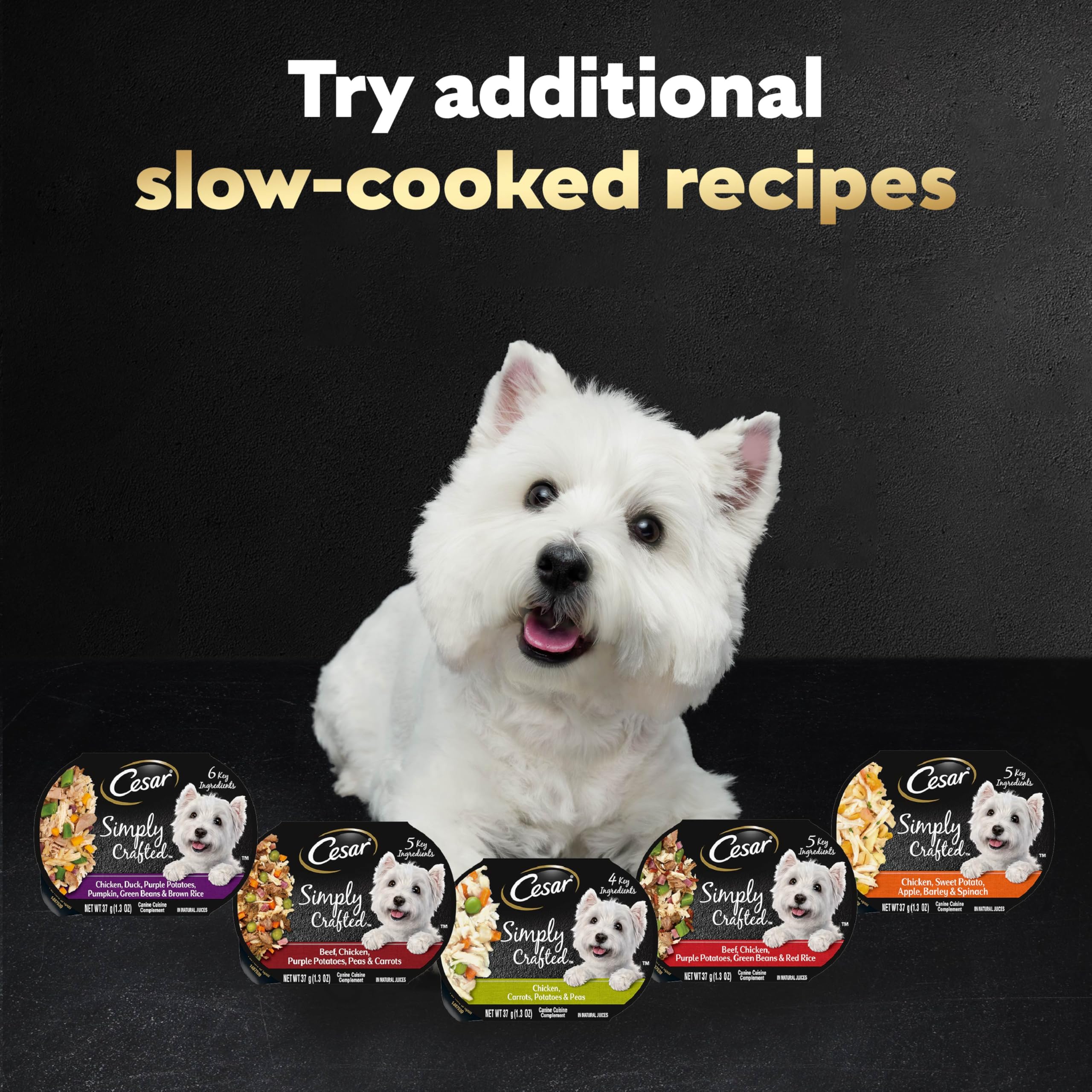 Cesar chicken wet dog food topper served on its own in a dog bowl.