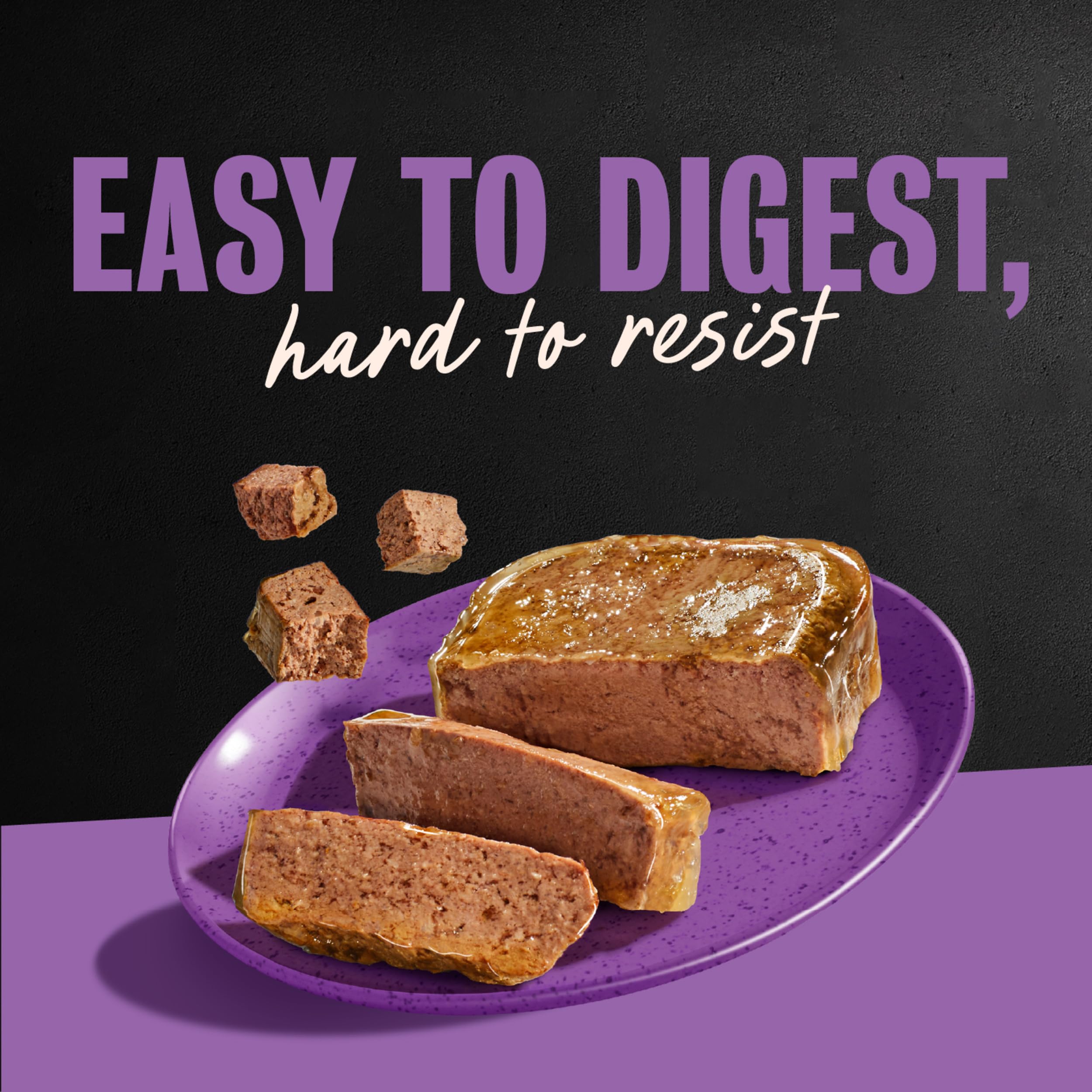 Cesar Classic Loaf wet dog food package shown from the side.