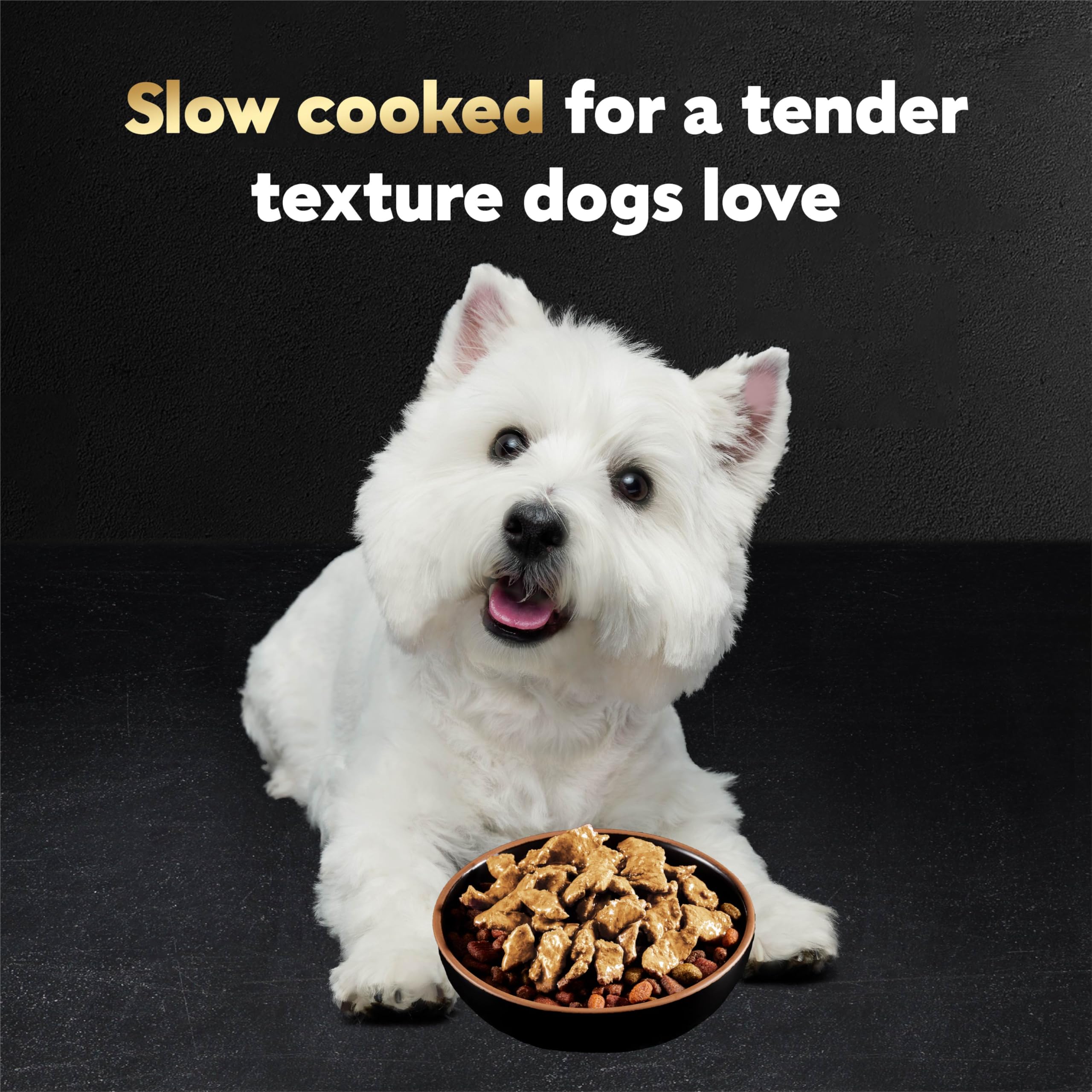 Cesar Filets in Gravy wet dog food in Rotisserie Chicken flavor.