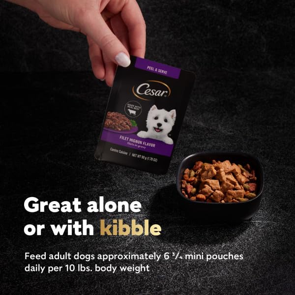 Cesar Filets in Gravy wet dog food in Wood-Grilled Chicken flavor.
