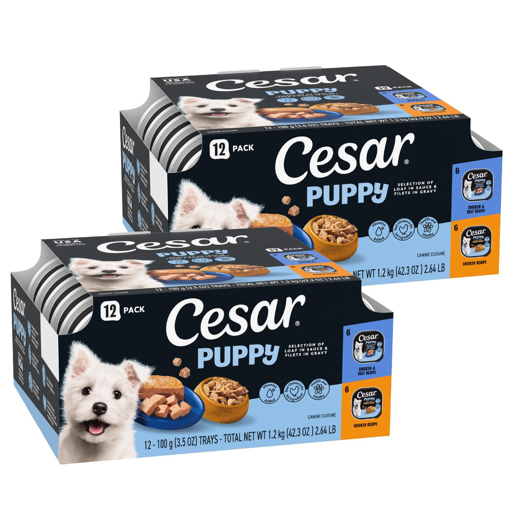 Cesar Puppy wet dog food variety pack shown from the front.