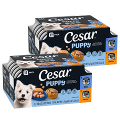 Cesar Puppy wet dog food variety pack shown from the front.