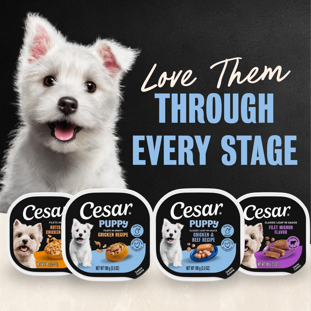 Cesar Puppy wet dog food shown ready to serve in its tray.