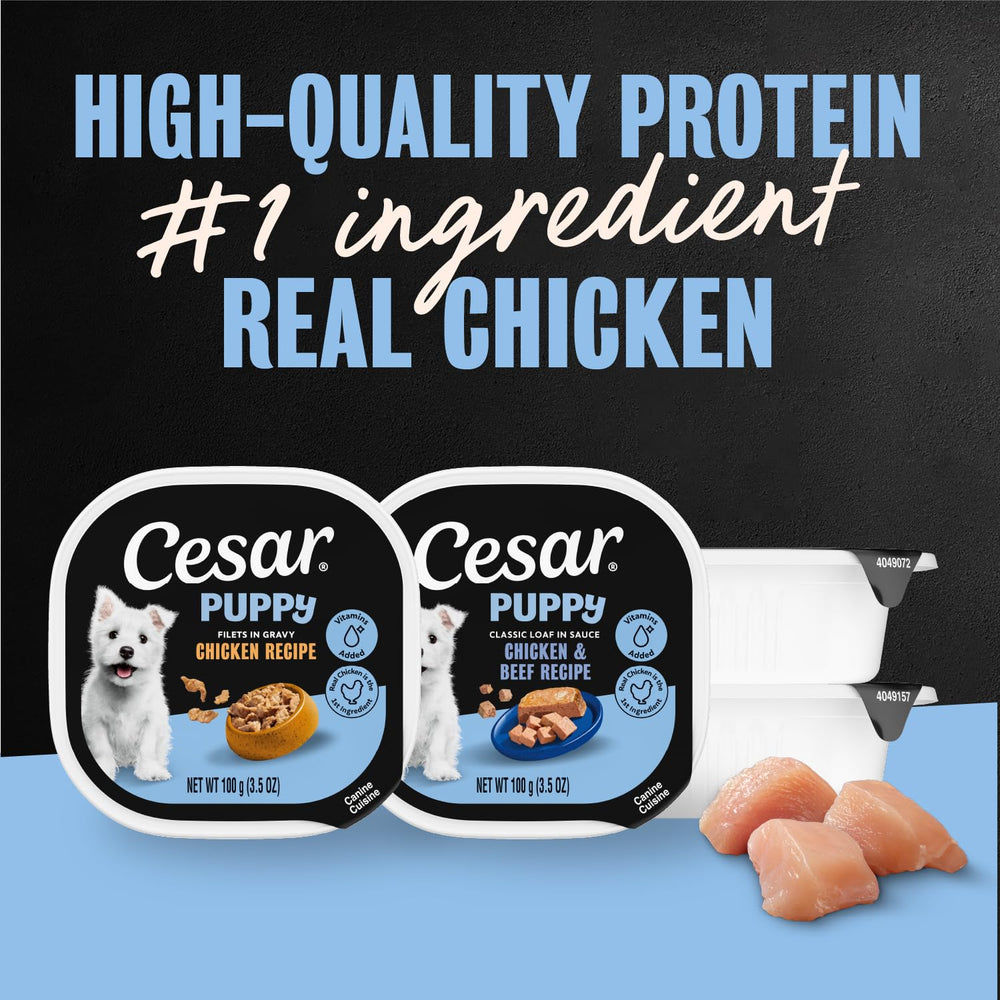 Cesar Puppy wet dog food tray shown with its peel-away seal.