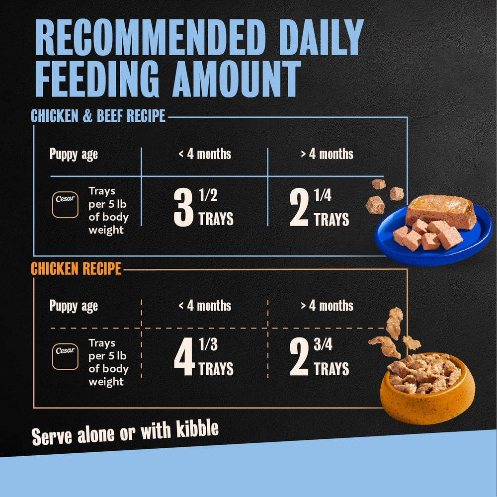 Cesar Puppy wet dog food variety pack showing the available recipe styles.