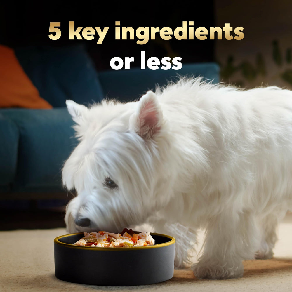 Cesar Simply Crafted dog food shown in its individual serving tub.