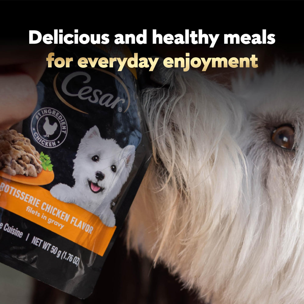 Cesar Filets in Gravy wet dog food used as a kibble topper.