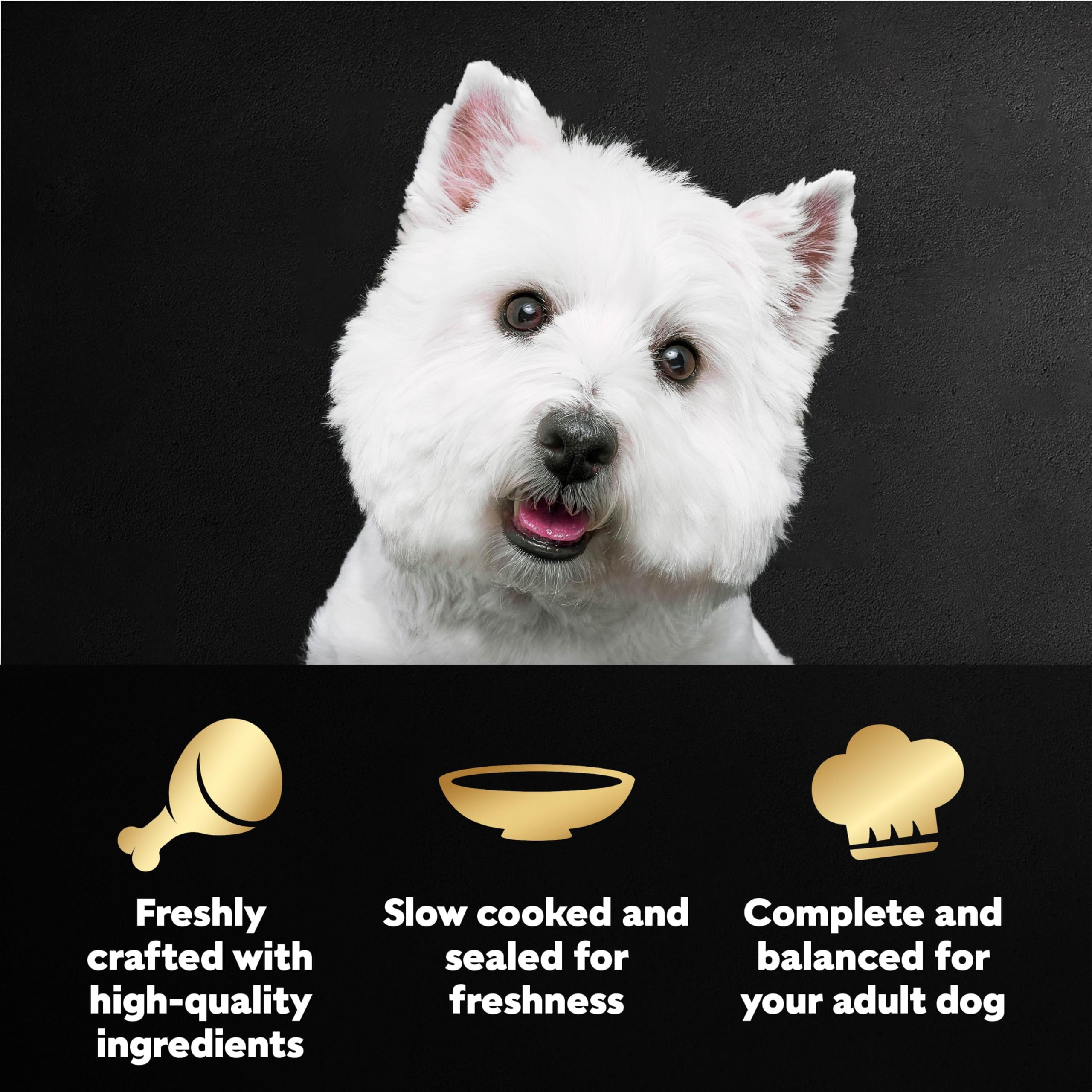 Cesar Filets in Gravy wet dog food pouch packaging for portioned feeding.