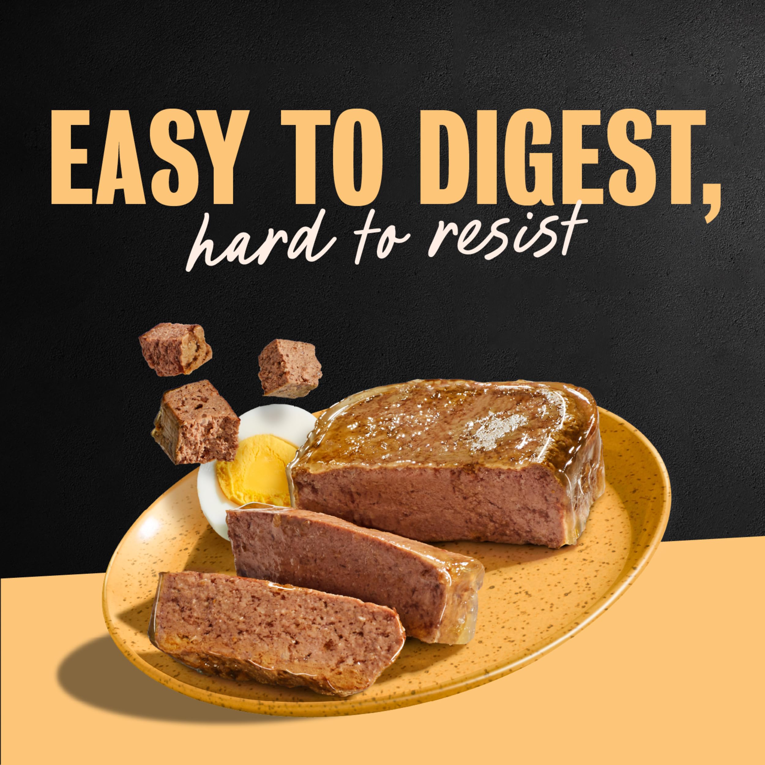 Cesar wet dog food ready to serve as an adult dog meal.
