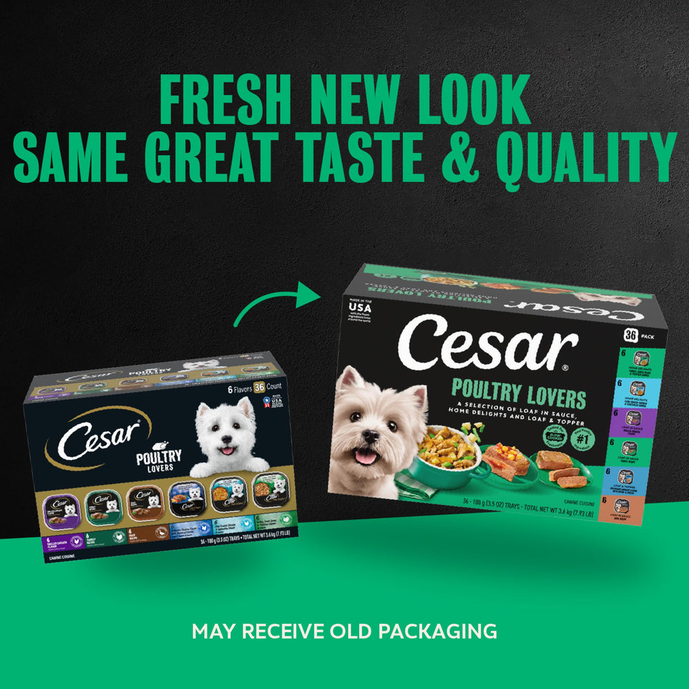 Cesar wet dog food trays shown as a view of the pack contents.