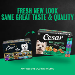 Cesar wet dog food trays shown as a view of the pack contents.