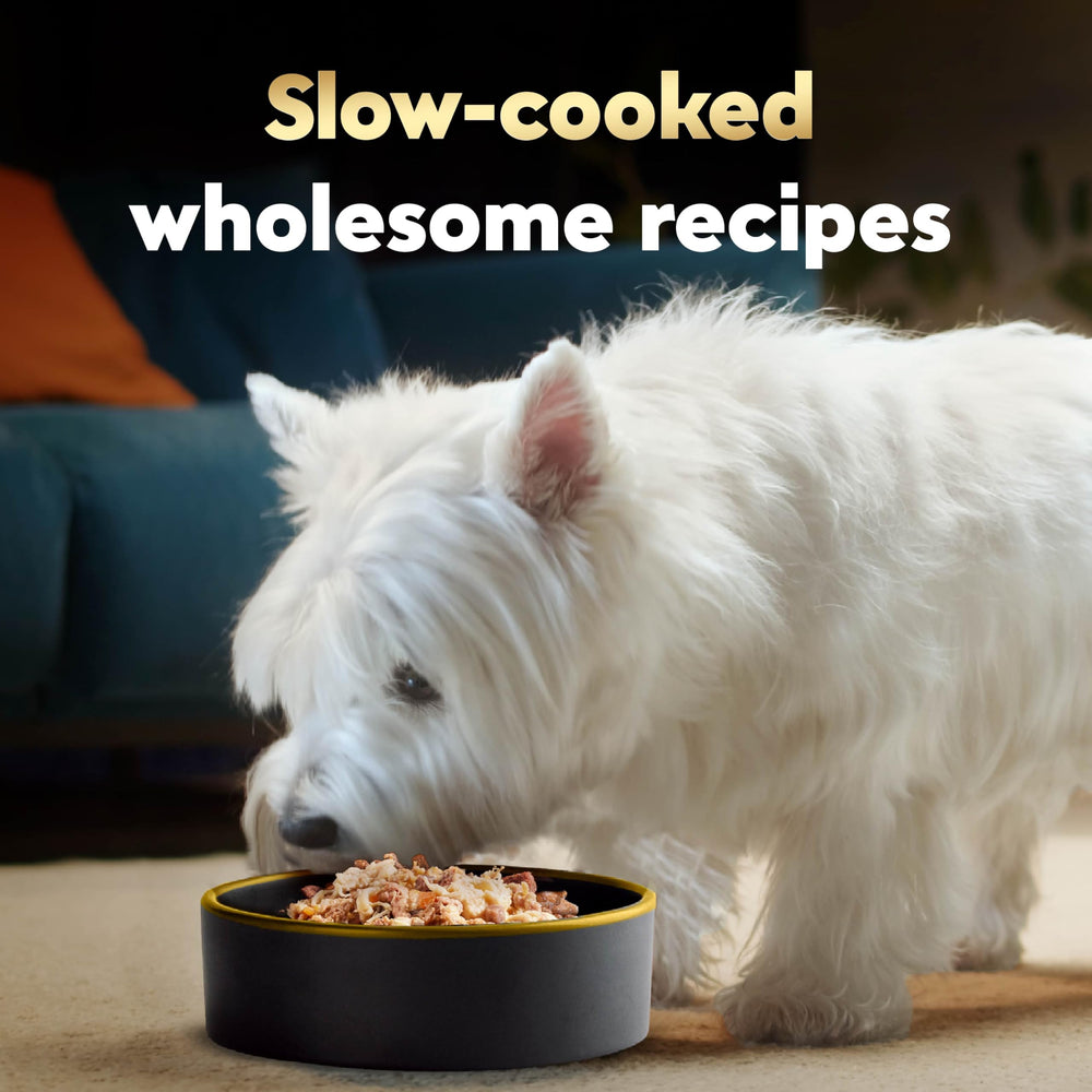 Cesar Wholesome Bowls wet dog food recipe detail featuring beef.