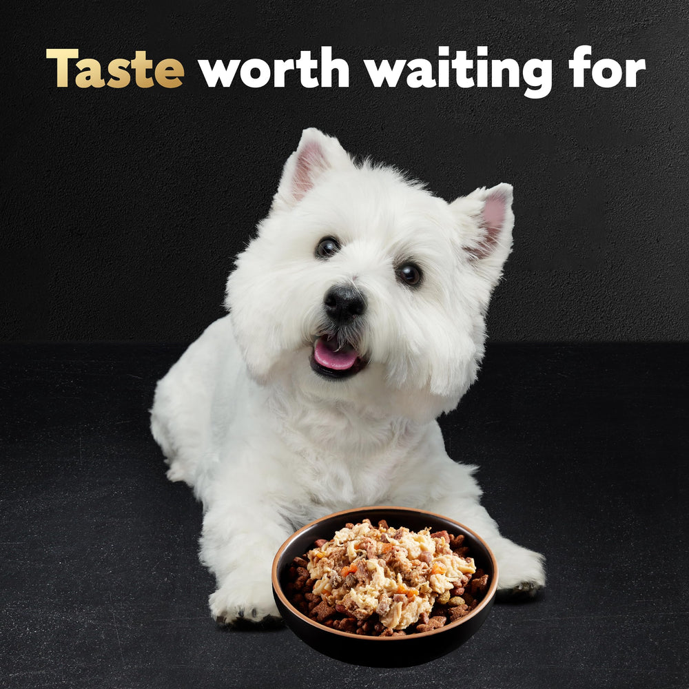 Cesar Wholesome Bowls wet dog food package ingredient information.