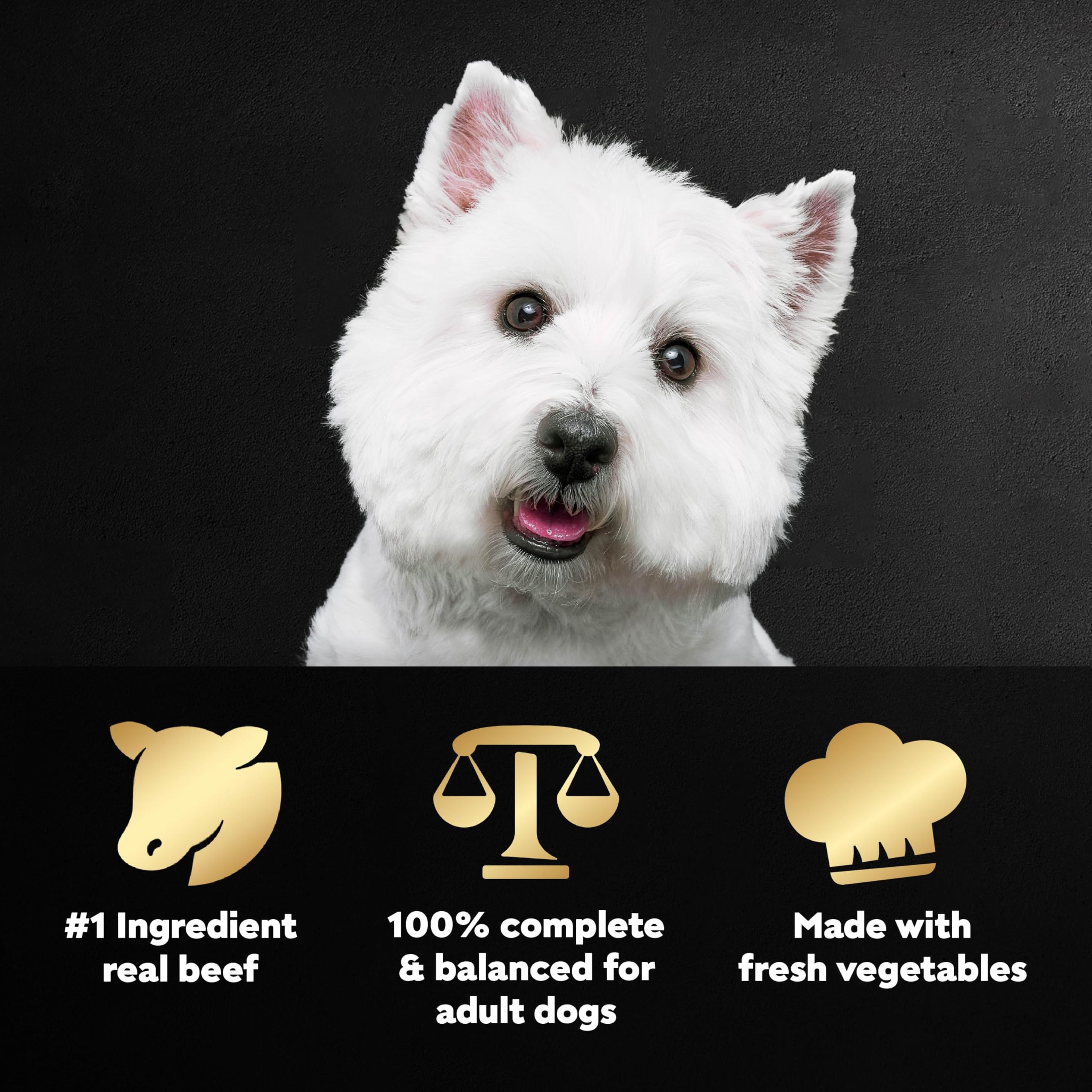 Cesar Wholesome Bowls wet dog food package shown from an alternate angle.