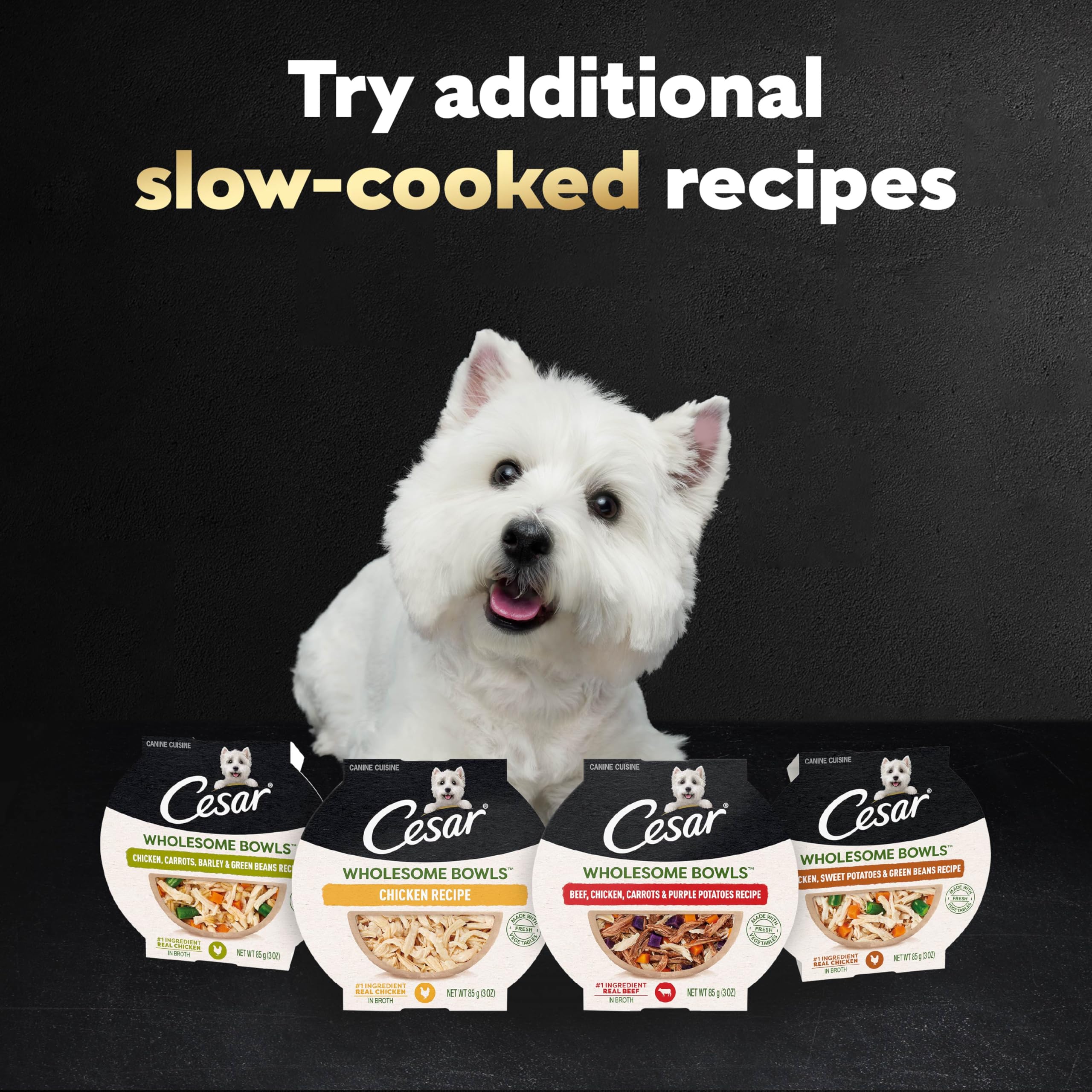 Cesar Wholesome Bowls wet dog food single-serve bowl portion.