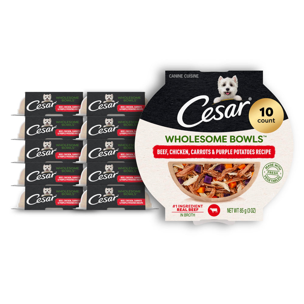 Cesar Wholesome Bowls wet dog food packaging shown from the front.