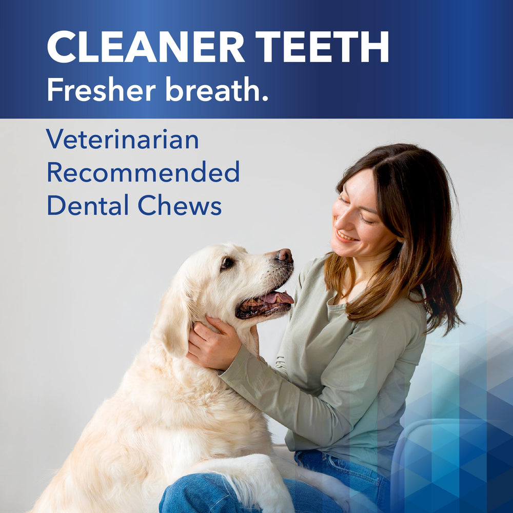 Ceva Clenz-A-Dent Breakables dental chew shown in a close-up of its rawhide texture.
