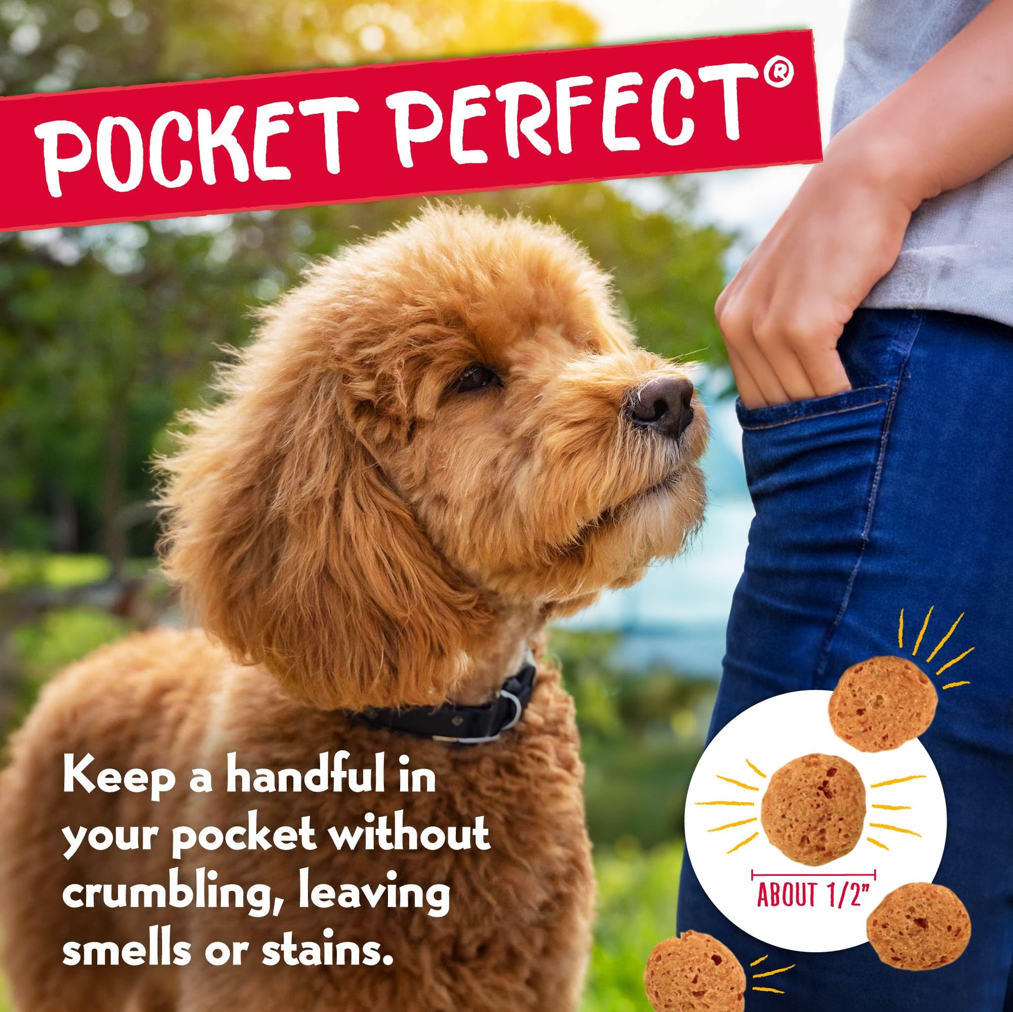 Charlee Bear Crunchy Dog Training Treats shown as a two-bag pack.